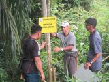 Converted timber were arrested inside oil palm plantations suspected stolen oil from forest reserve